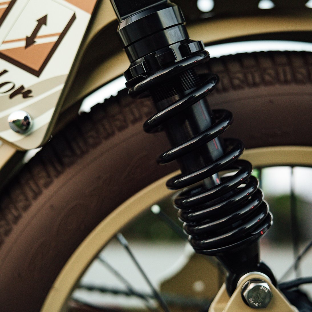 QIOLOR Tiger E-BIKE - Image 6