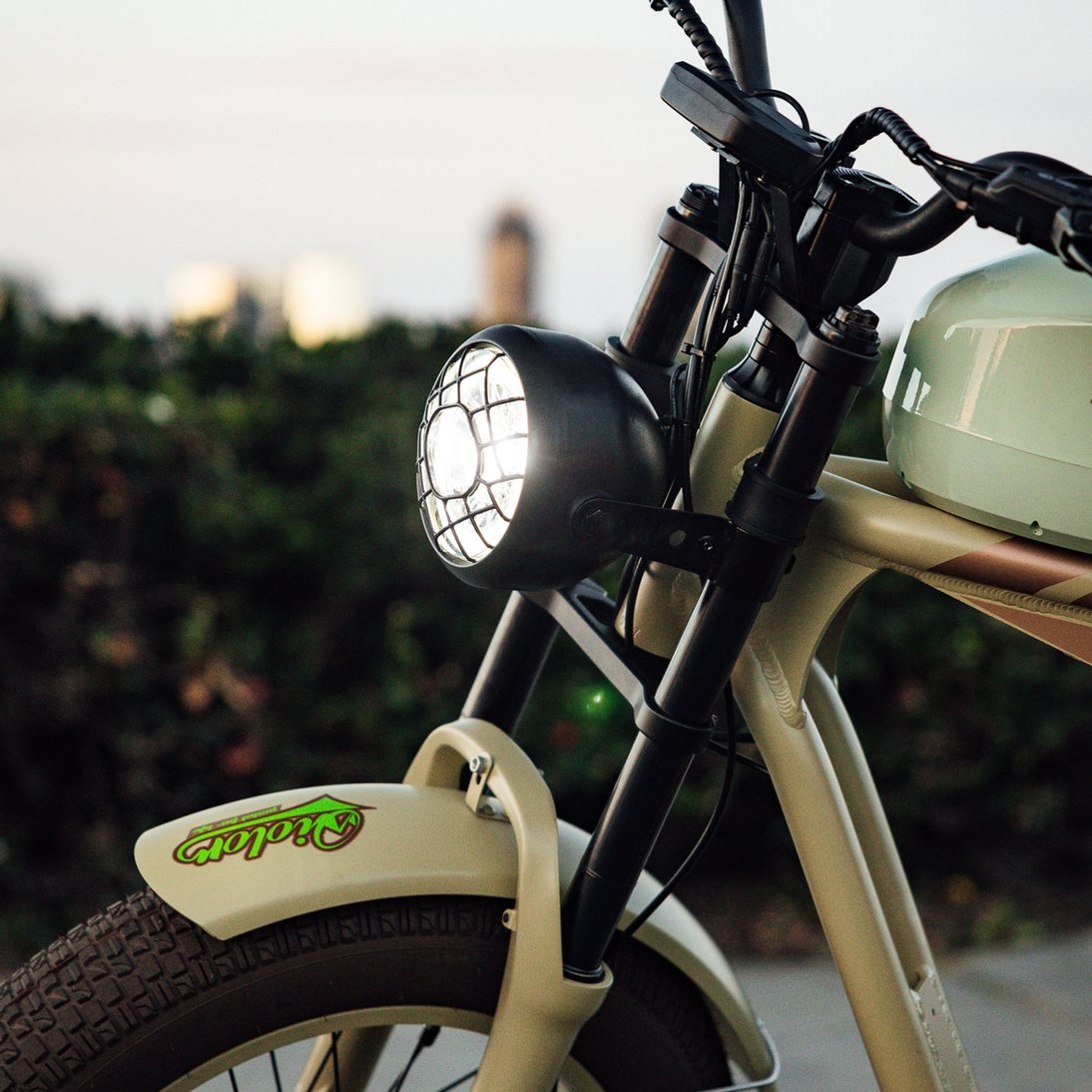 QIOLOR Tiger E-BIKE - Image 4