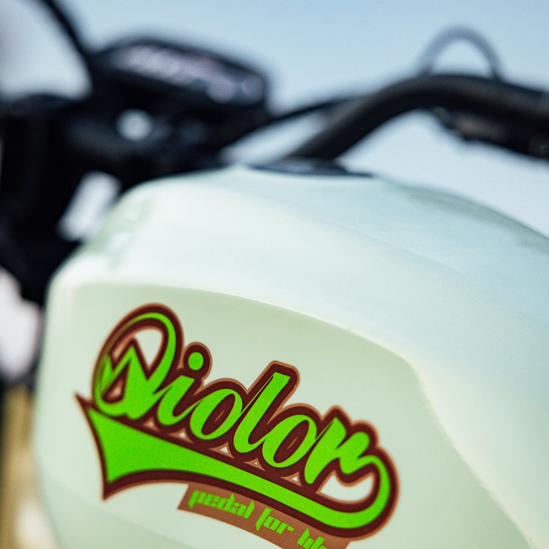 QIOLOR Tiger E-BIKE - Image 8