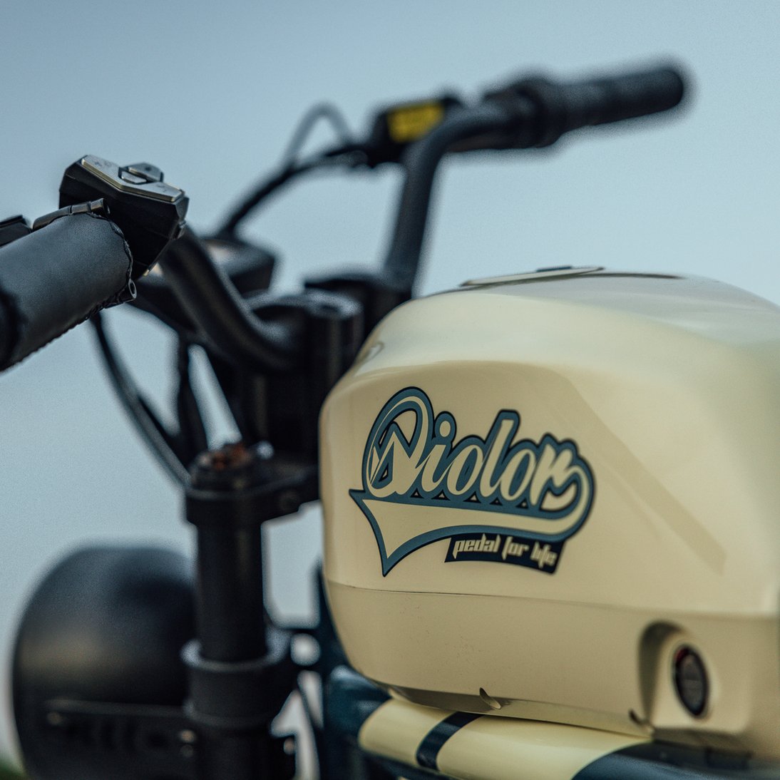 QIOLOR Tiger E-BIKE - Image 3