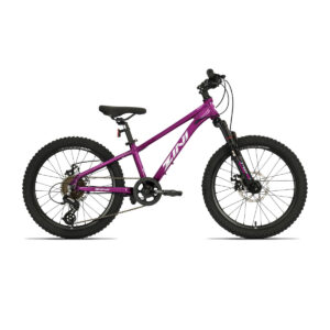 2025 Zini Z20 Disc 8Spd